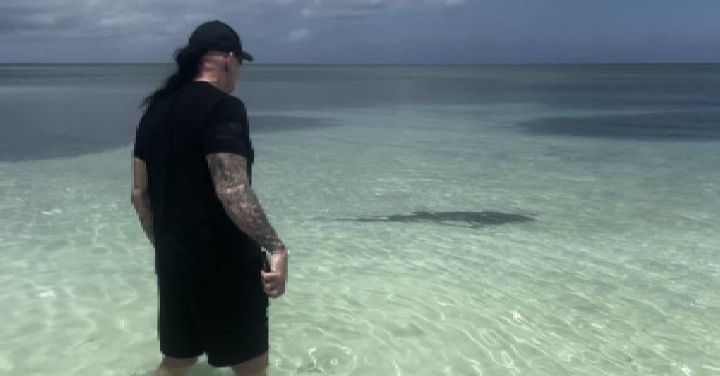 wwe-the-undertaker-shark.jpg