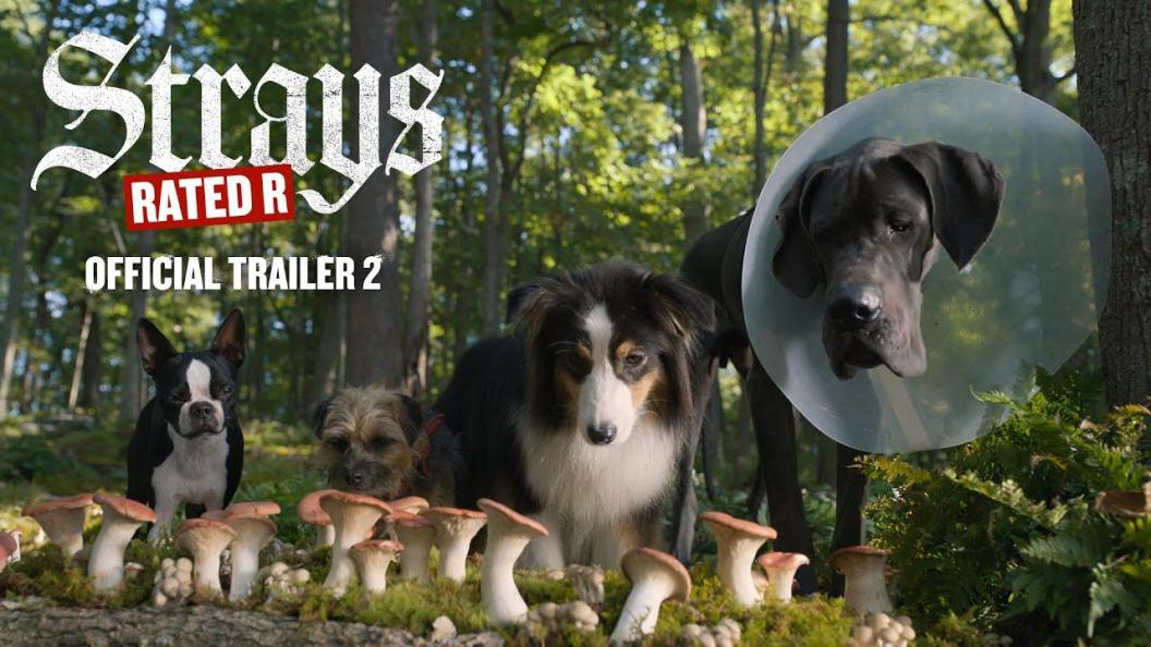 strays-movie-trailer.jpg