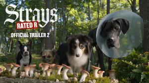 Strays Gets R-Rated New Trailer