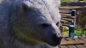 Baldur’s Gate 3 Climbs Steam Best Sellers Chart After Showing Off Bear Sex Scene