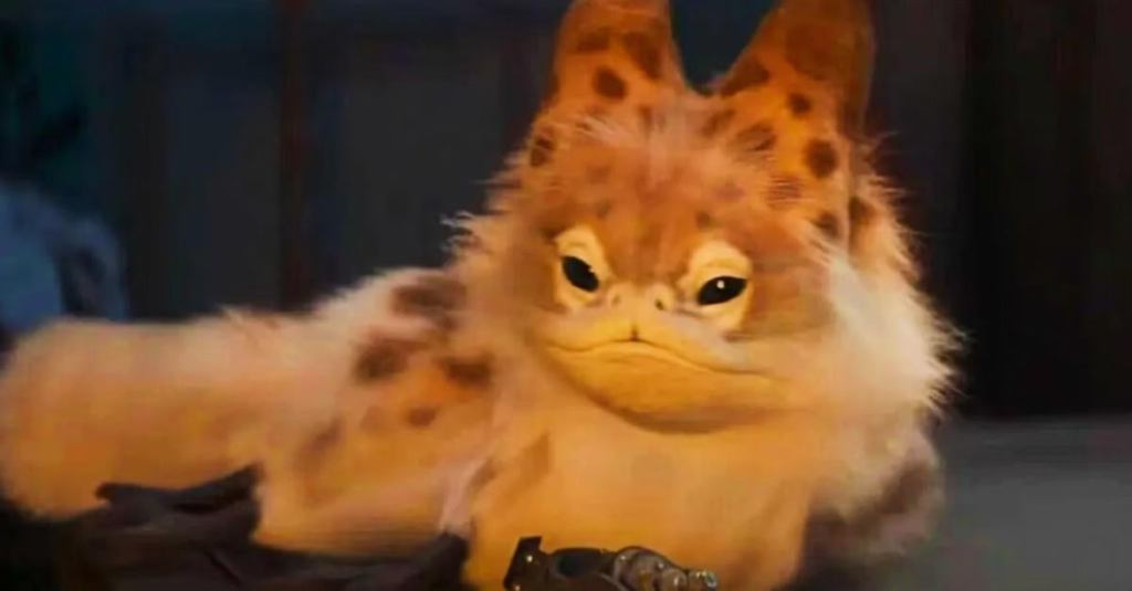 ahsoka-loth-cat.jpg