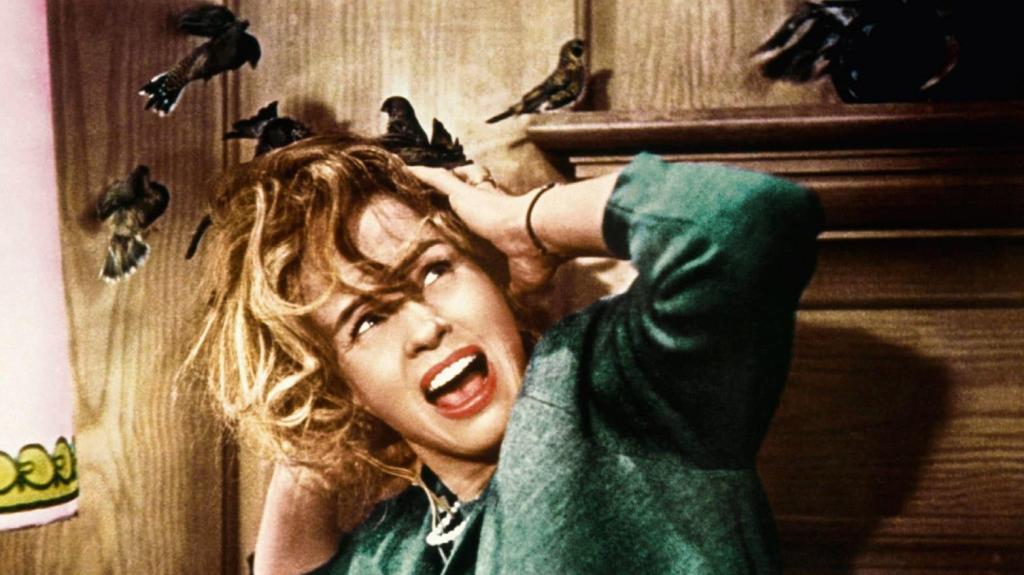 the-birds-movie-alfred-hitchcock-1963.jpg