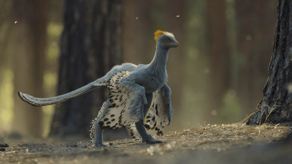 life-on-our-planet-anchiornis.png