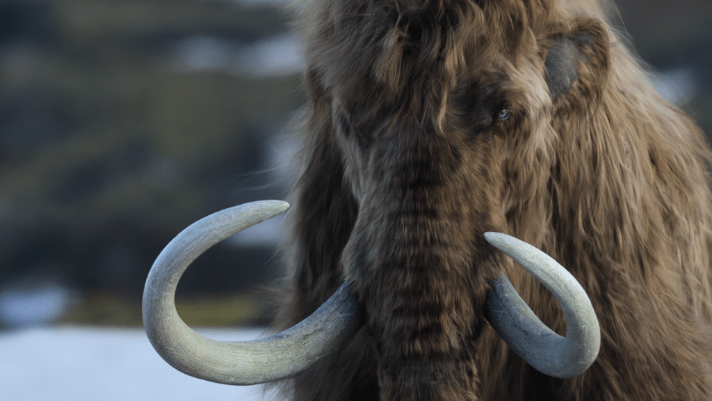 life-on-our-planet-woolly-mammoth.png