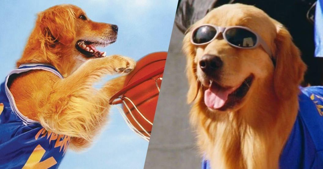 air-bud-disney-plus.jpg