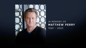 Max Honors Matthew Perry With Tribute on Each Season of Friends