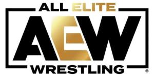 AEW Champion Tweets Then Deletes Details of an Injury