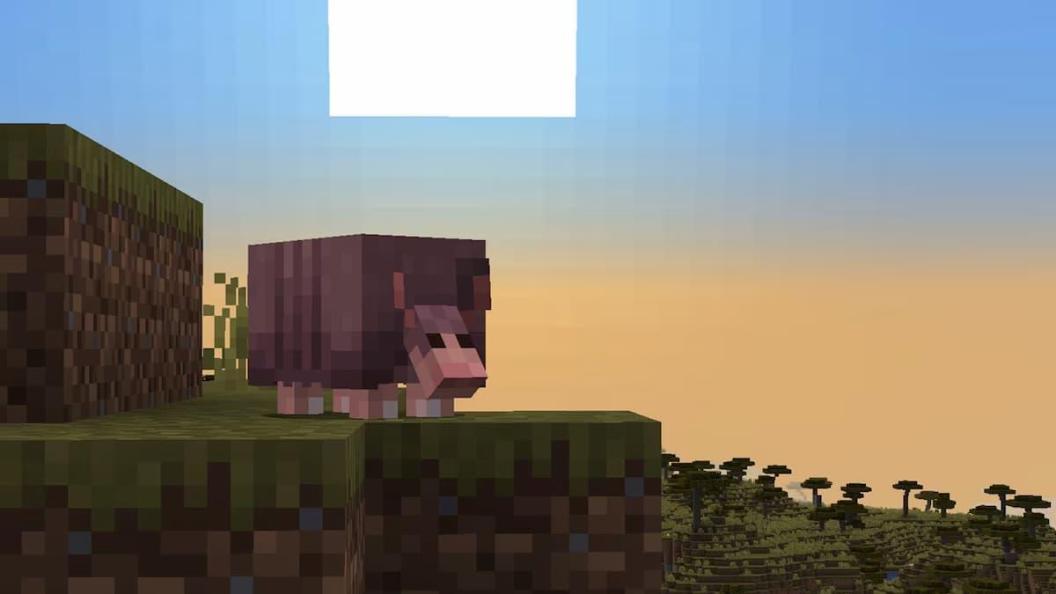 minecraft-armadillo.jpg