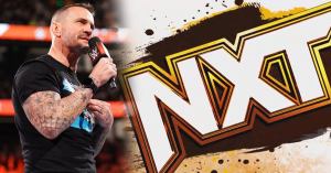 WWE Report Reveals Reception to CM Punk’s Return to NXT and Potential Future Plans