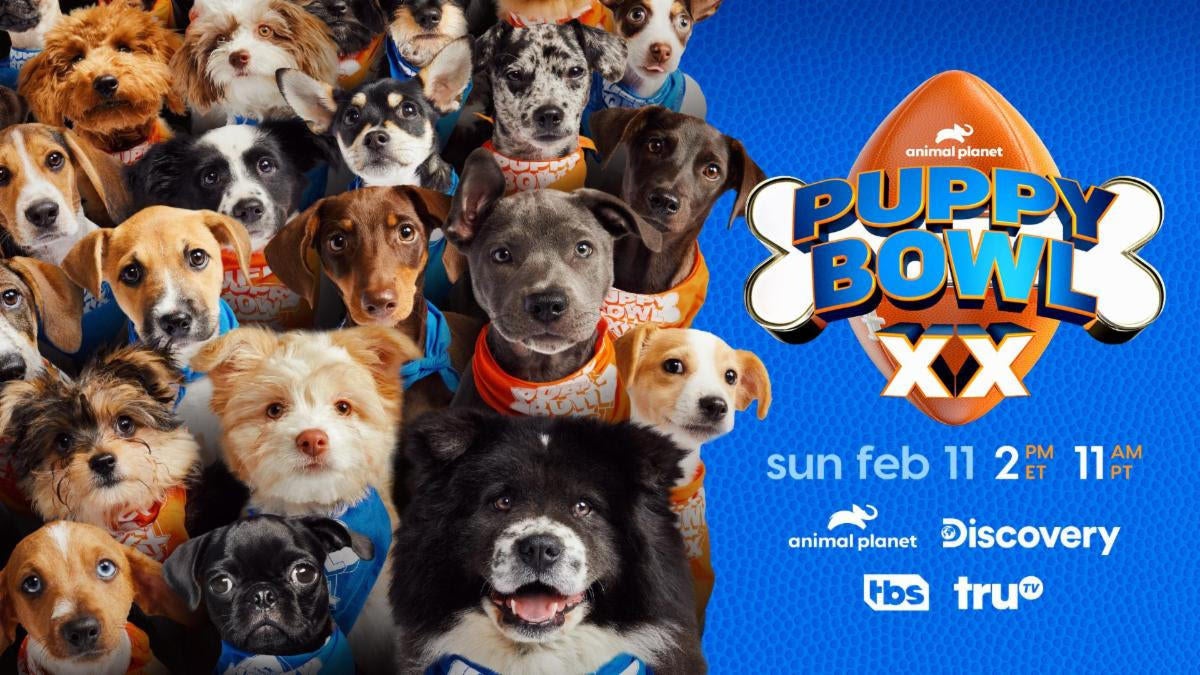 Puppy Bowl Celebrates 20th Anniversary With “Puppiest Puppy Bowl Ever”