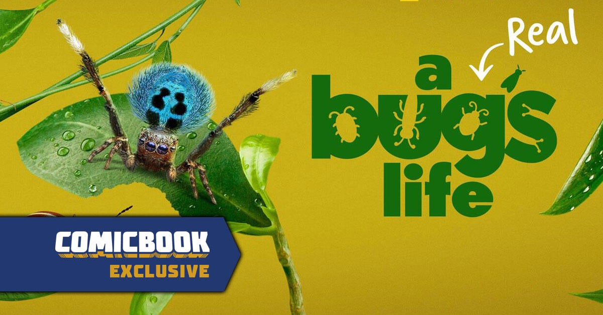 Disney and Awkwafina Reveal a Little Spider's Journey in A Real Bug's ...