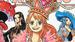 New One Piece Heroines Novel Announced