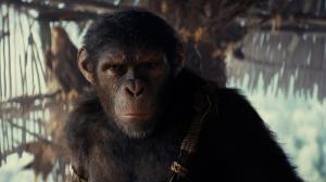 The Kingdom of the Planet of the Apes Delivers Franchise’s Second-Best Box Office Opening