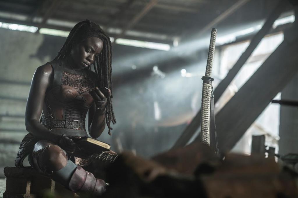 the-walking-dead-michonne-rick.jpg