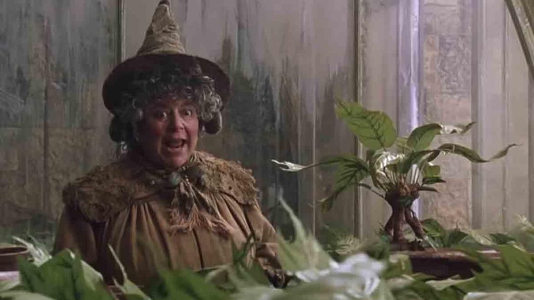 miriam-margolyes-harry-potter.jpg