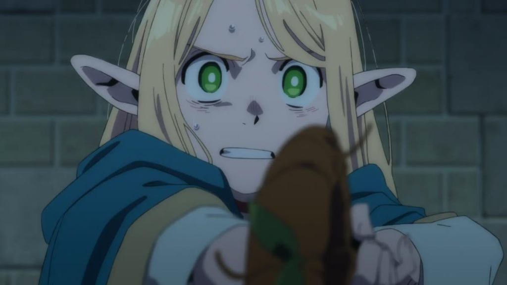 delicious-in-dungeon-episode-13-marcille.jpg