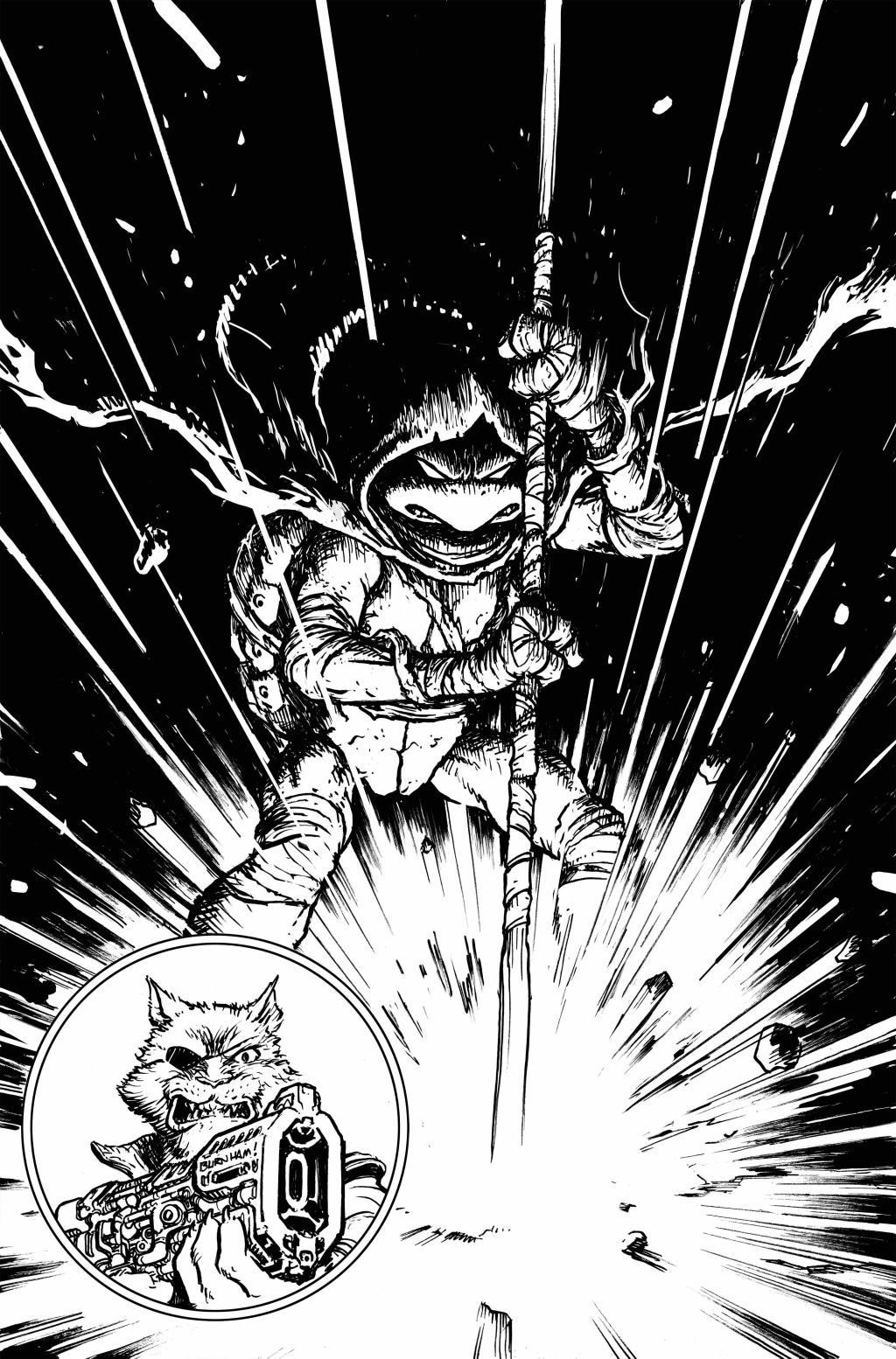 tmnt-alpha-cvra-inks.jpg