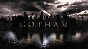 gotham-fox.jpg