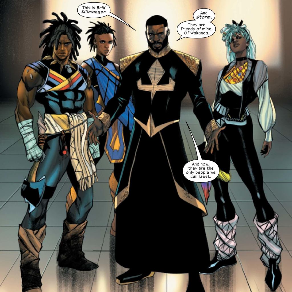 ultimate-black-panther-okoye-shuri-killmonger-storm.jpg