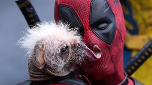 Deadpool & Wolverine: Hugh Jackman Celebrates Dogpool’s Social Media Milestone