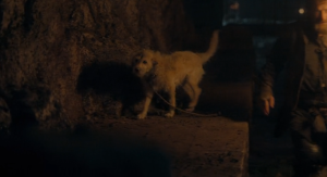 House of the Dragon Fans Furious After Dog Kicked in New Episode