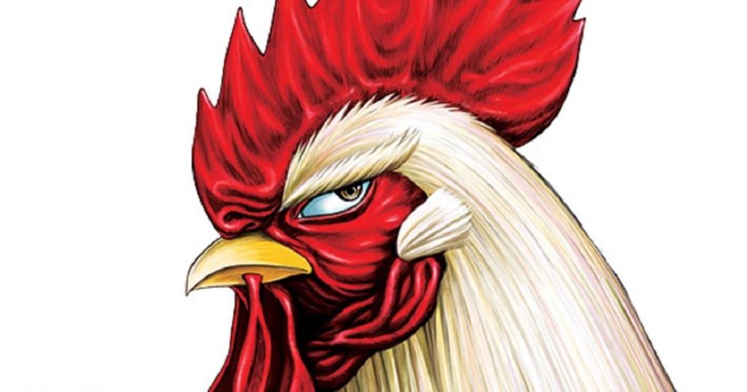 rooster-fighter-anime.jpg