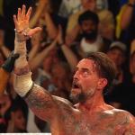 cm-punk-wwe-bash-in-berlin.jpg