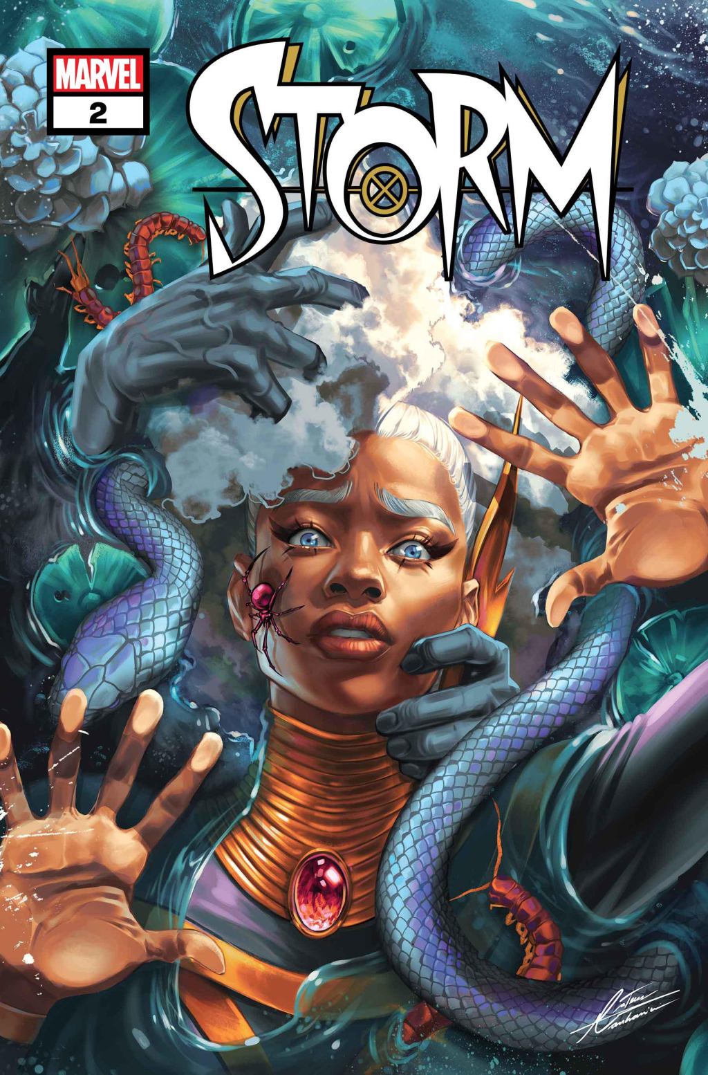 storm2024002-cover.jpg