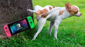 Nintendo Warns Switch Owners to Not Get Dog Pee on the Console