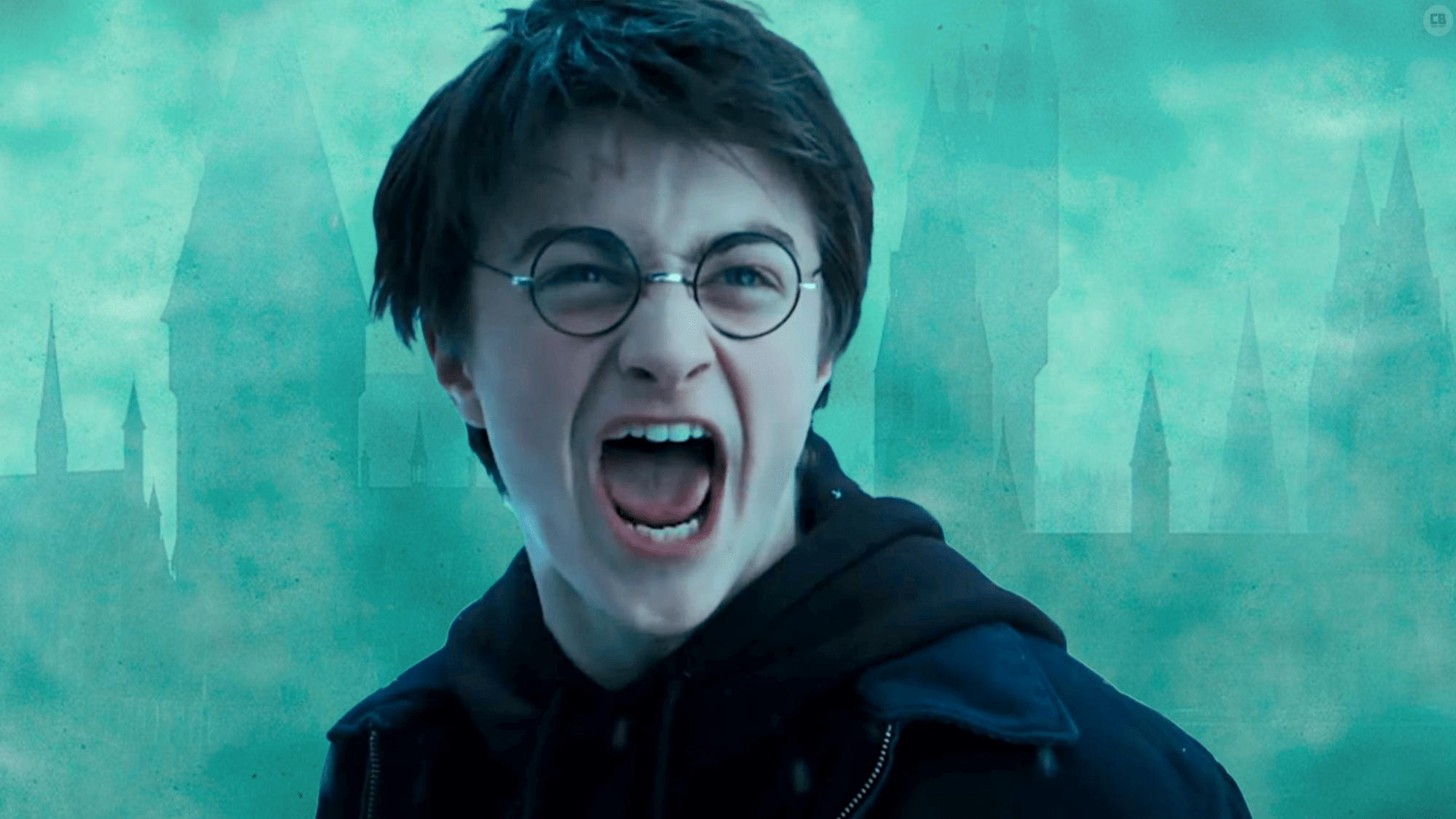 Harry Potter Fans Still Divided Over THAT Scene 14 Years Later