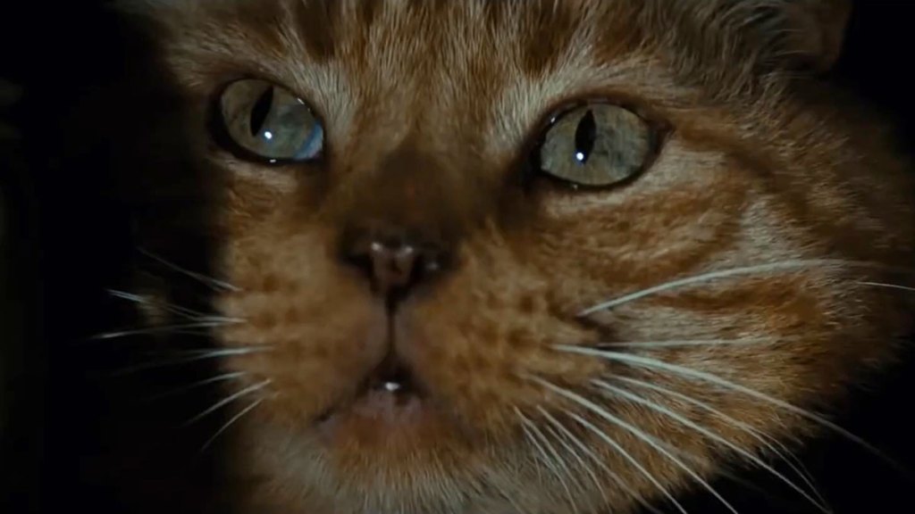 Jonesy the cat from Ridley Scott's 1979 horror sci-fi movie Alien. 