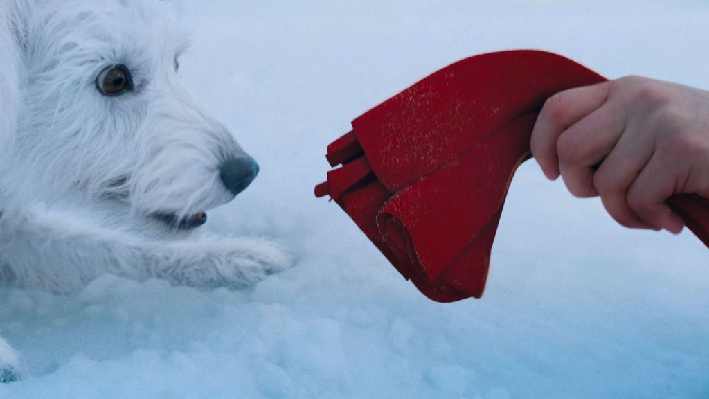 Krypto grabbing Superman's cape in DC Studios Superman