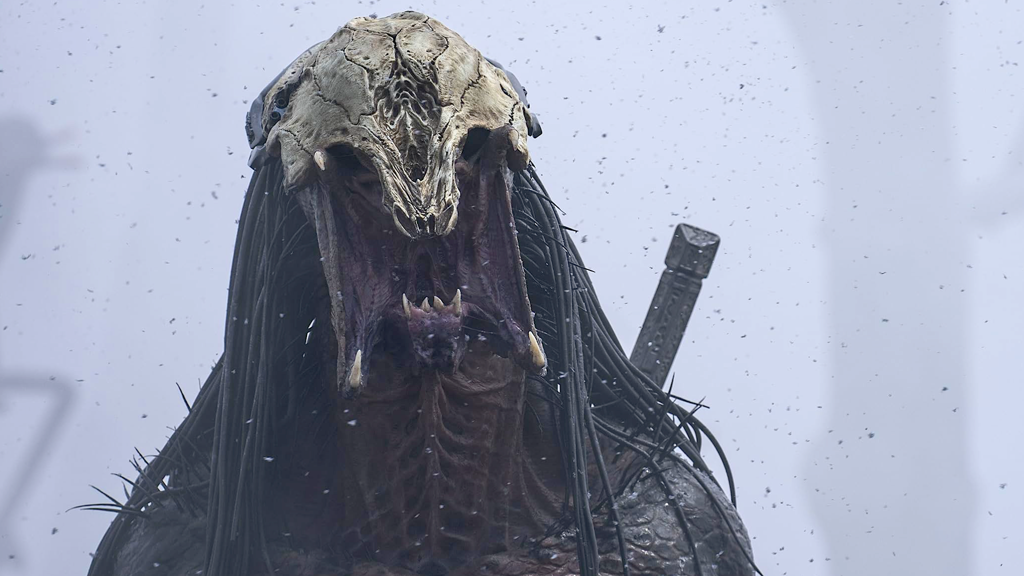 Prey Star Amber Midthunder Addresses Predator Franchise Future ...