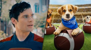 Superman Sneak Peek Coming to Puppy Bowl XXI (Along With Lots of Puppies)