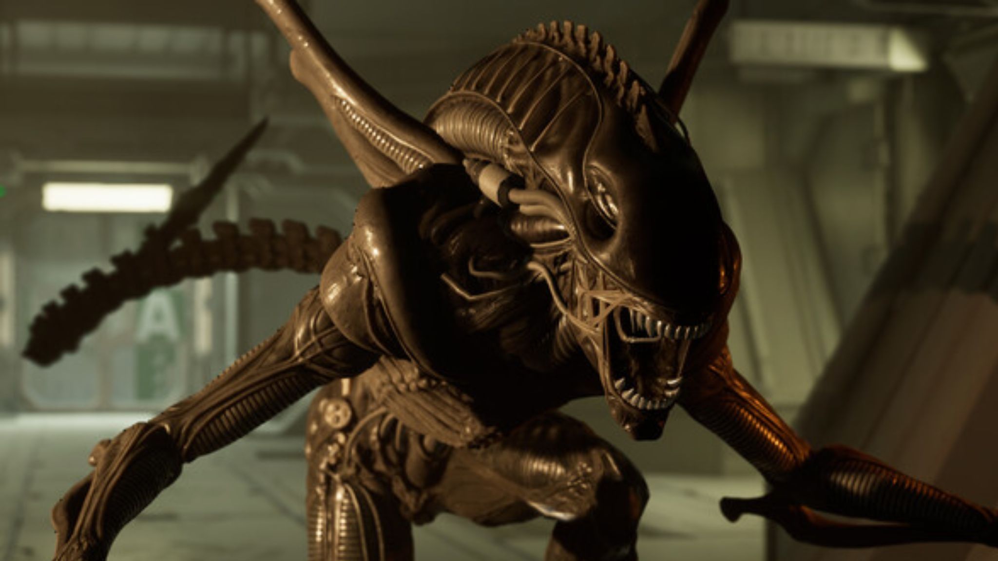 8 Huge Games Releasing in February (And When You Can Play Them)