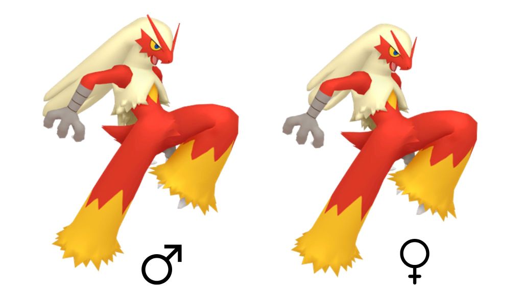 Blaziken Gender Differences