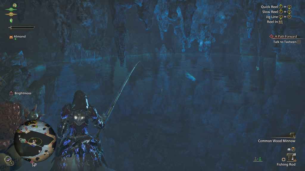 Monster Hunter Wilds Fishing