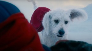 Krypto Getting Seasonal Spin-Off Shorts Following Superman Movie Debut