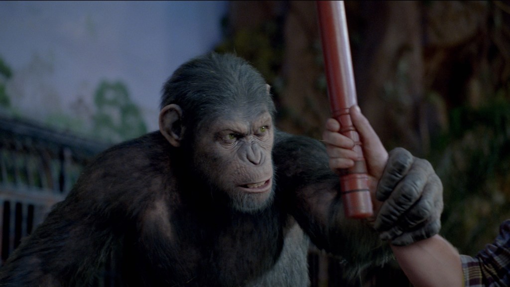 Caesar fighting Dodge in Rise of the Planet of the Apes