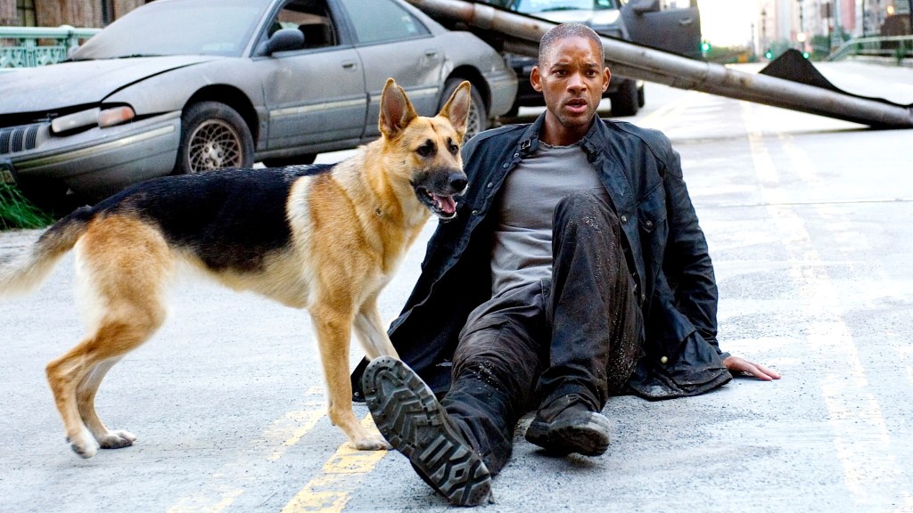 Will Smith and a German Shepherd Dog in I Am Legend