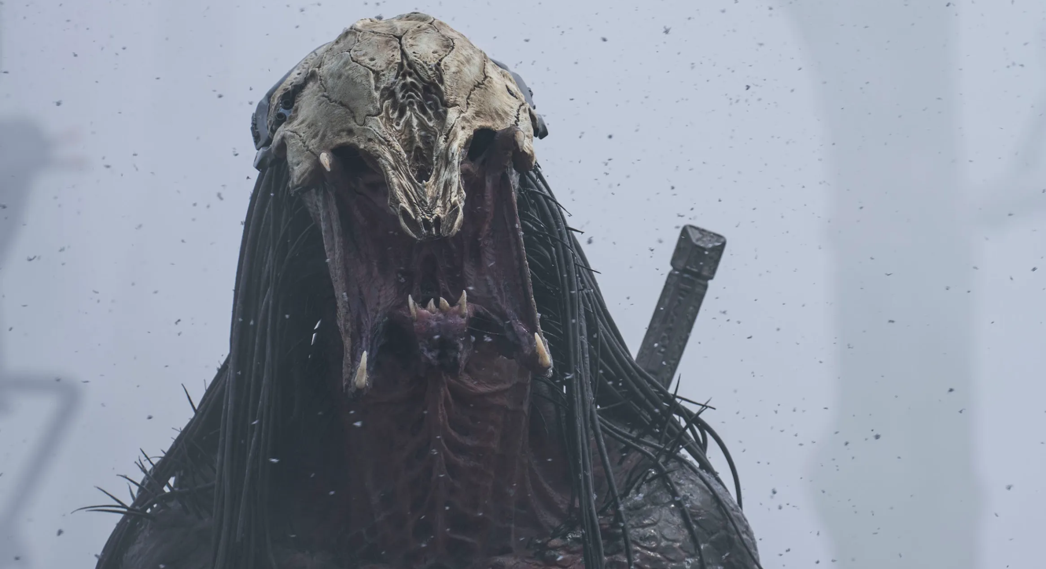 5 Best Predator Action Scenes Comicbook