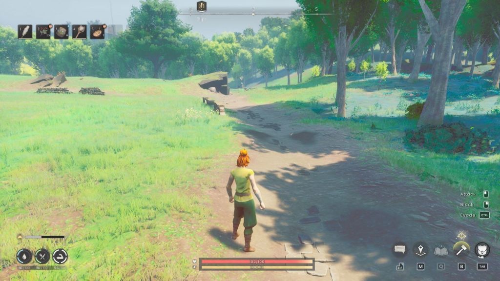 Dragonwilds Gameplay