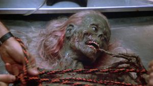 10 Grossest Zombie Horror Movies Ranked
