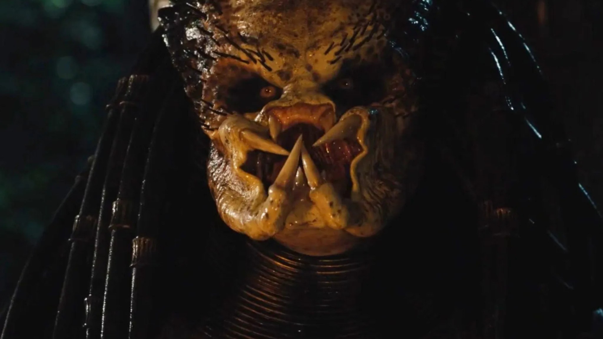 Predator: Badlands Director Confirms a Major Aliens Connection (And It ...