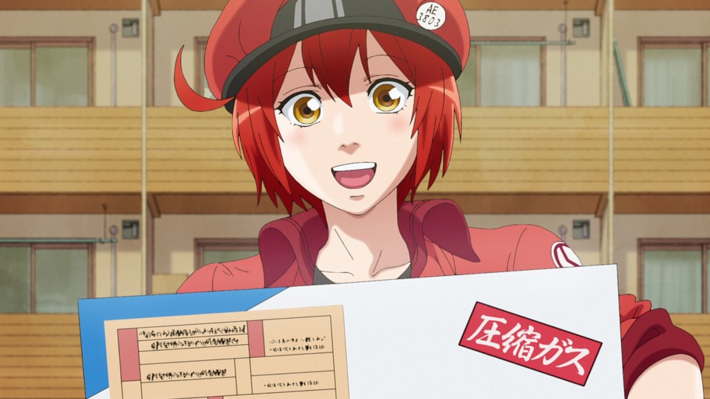 Cells at Work Red Blood Cell AE3803