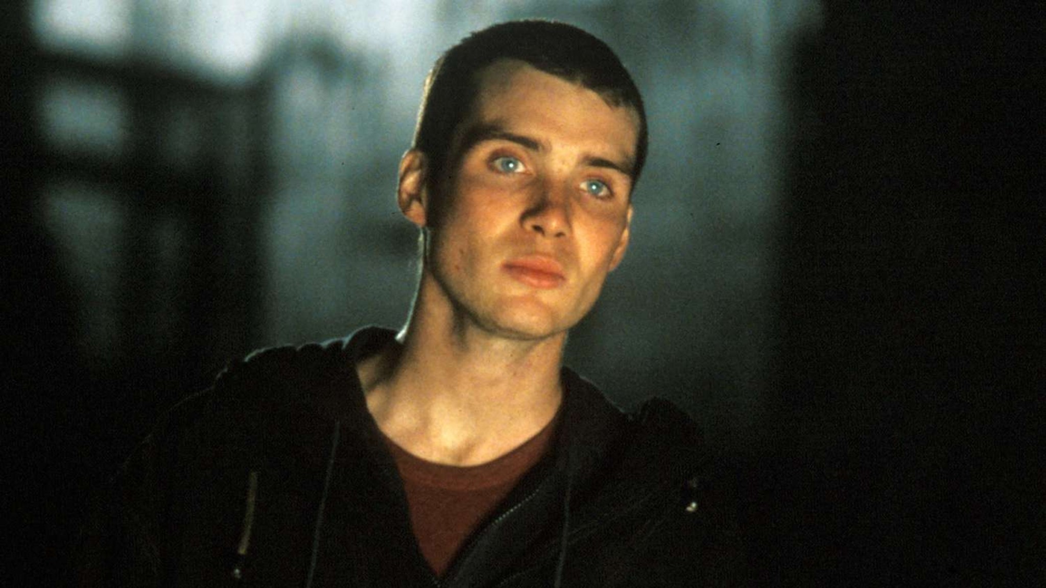 Cillian Murphy visual data 5