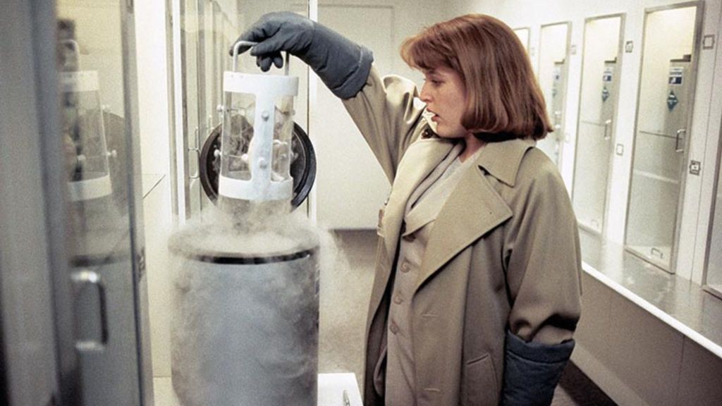 Gillian Anderson as Dana Scully in The X-Files Season 1 Episode 24