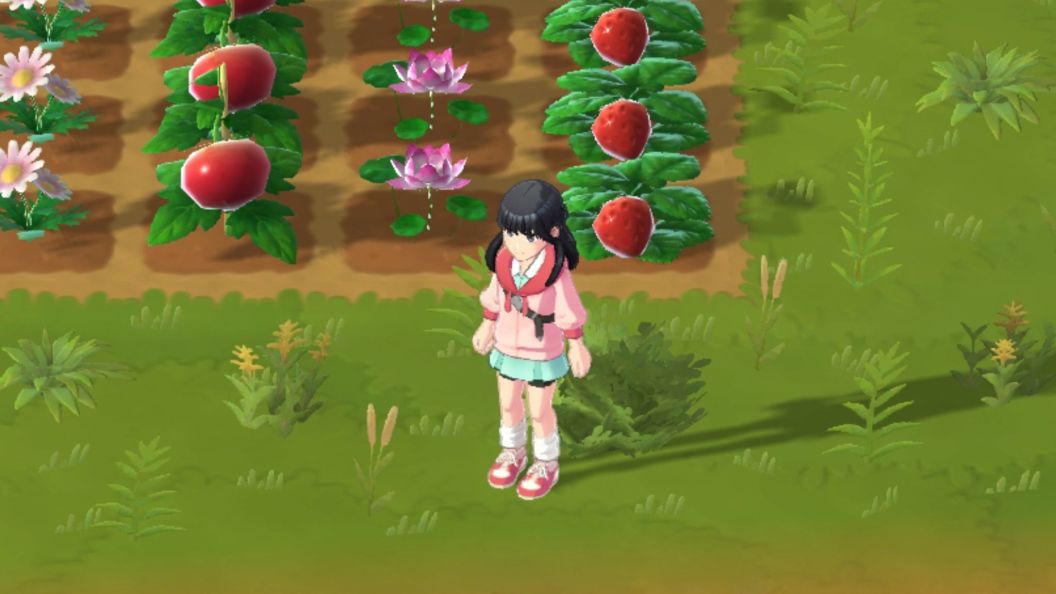New Harvest Moon Home Sweet Home Edition