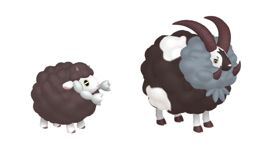 Shiny Wooloo vs Shiny Dubwool
