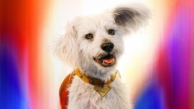 Krypto in Superman